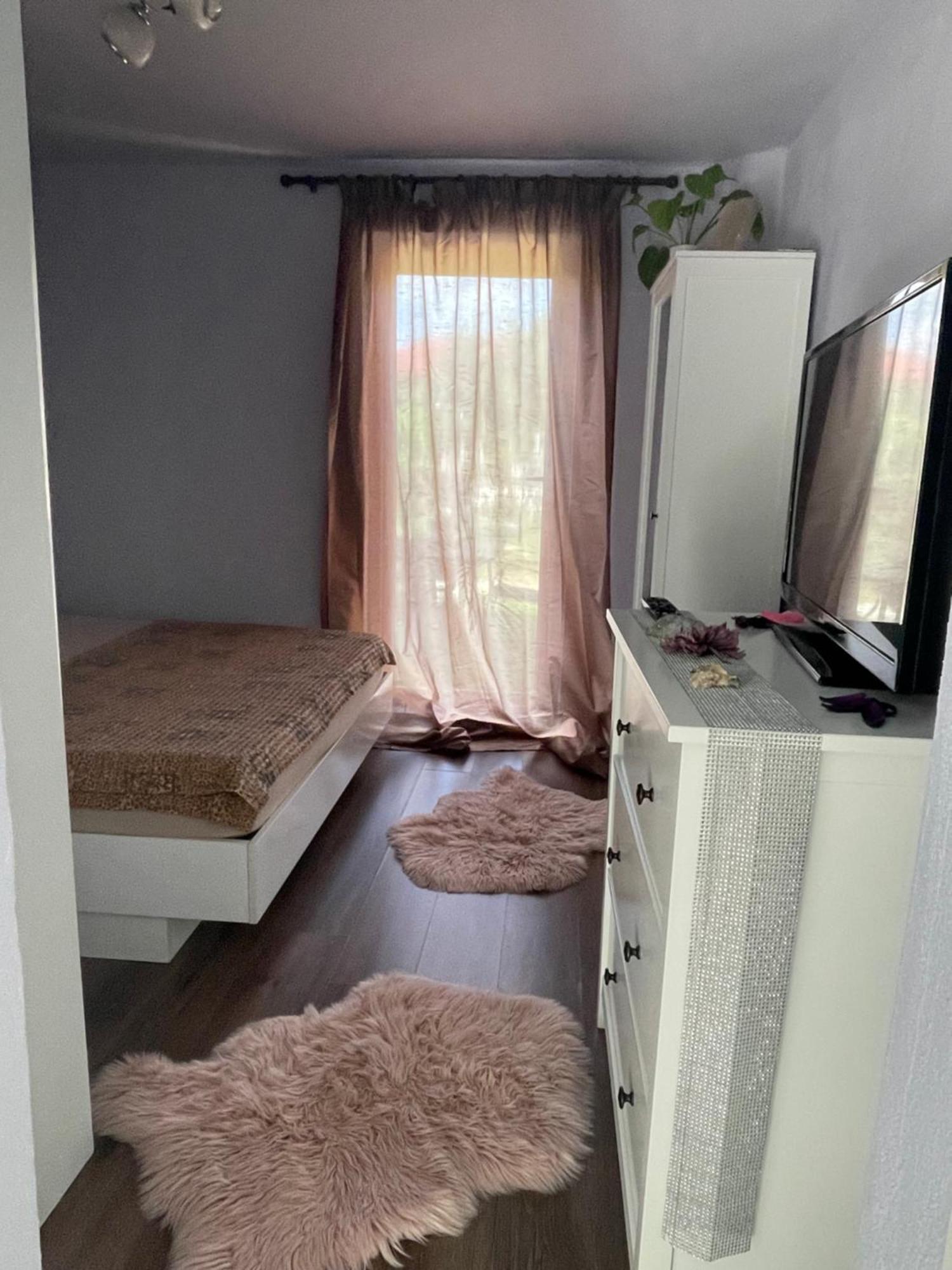 Appartement Garsoniera La Casa à Timişoara Extérieur photo